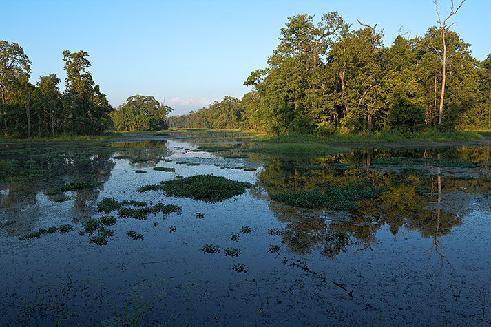 Chitwan